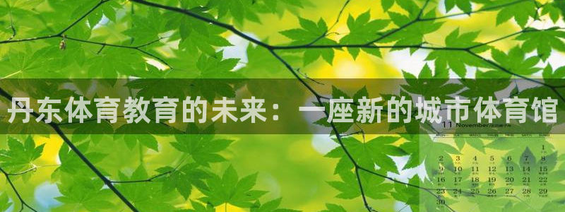 凯发官方正版app集团简介:丹东体育教育的未来:一座新的城市