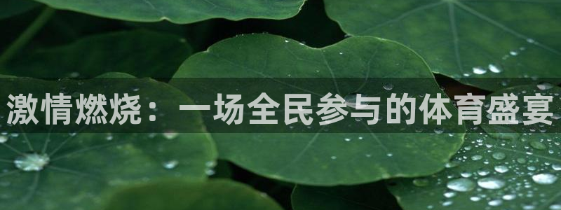 凯发官网下载平台是正规平台吗知乎:激情燃烧:一场全民参与的体