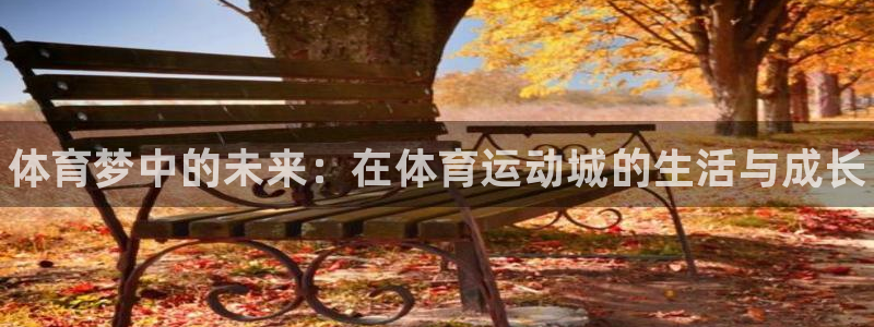 凯发官方正版app娱乐:体育梦中的未来:在体育运动城的生活与