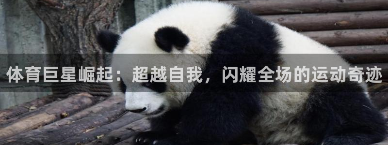 凯发官网下载招商电话号码是多少啊:体育巨星崛起:超越自我,闪